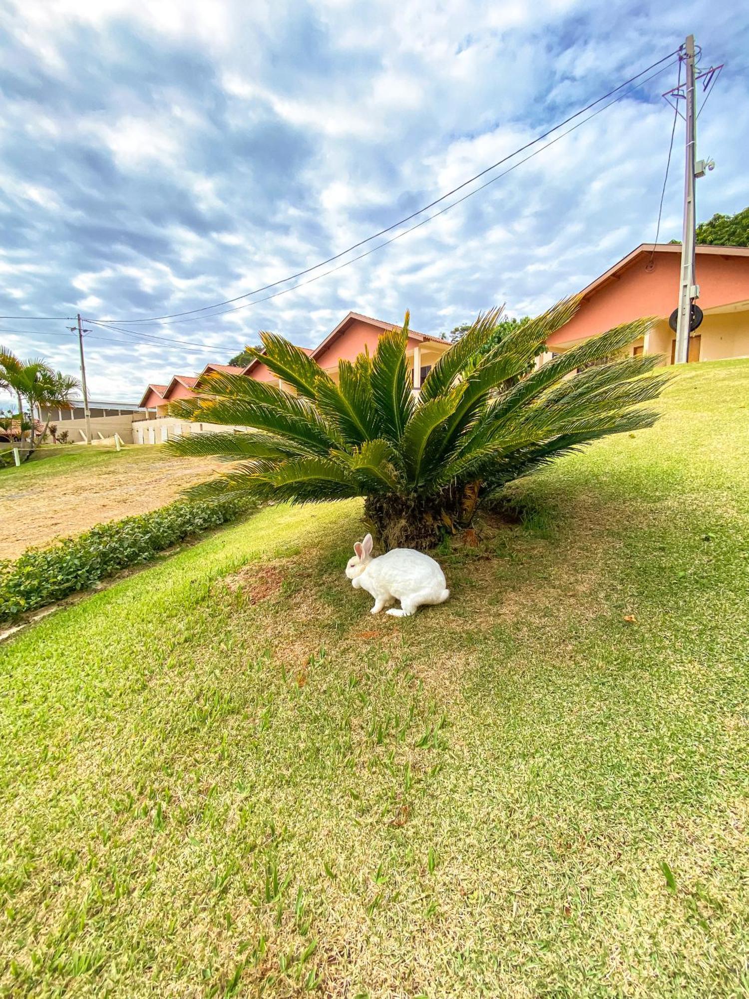 Pousada Flores Do Campo Águas de Lindóia Buitenkant foto